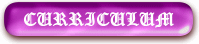 Curriculum