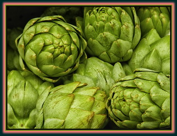 The Humble Artichoke