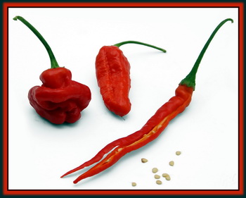 Hot Peppers