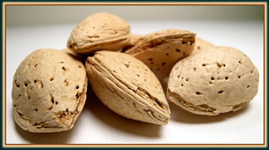 Unshelled Almonds