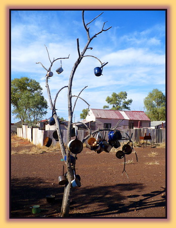 Illegal Pot Plant in Outback