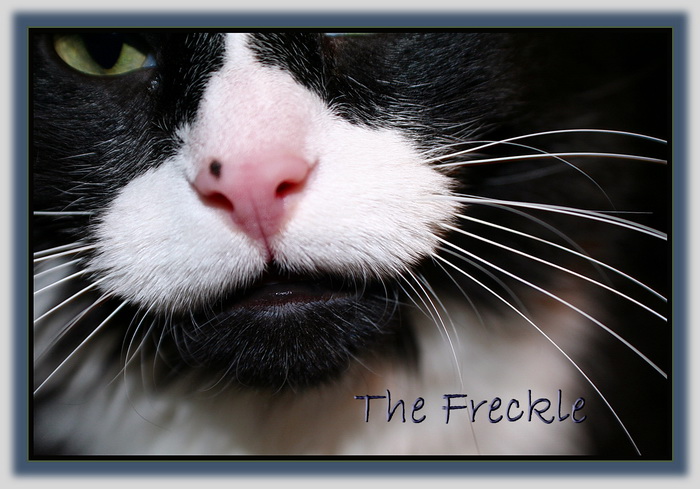 Freckle-Face