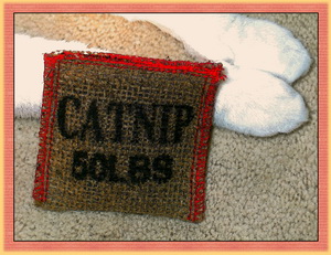Bring Kitty Presents When You Come